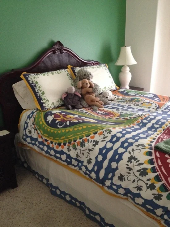 Anthropologie Multicolor Queen Duvet, Shams, Bedskirt and Matching Throw! - Picture 1 of 4